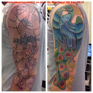 Peacock cover up