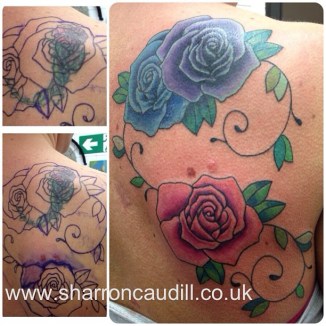 rose rose cover up