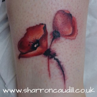 wp-1412345269978 image